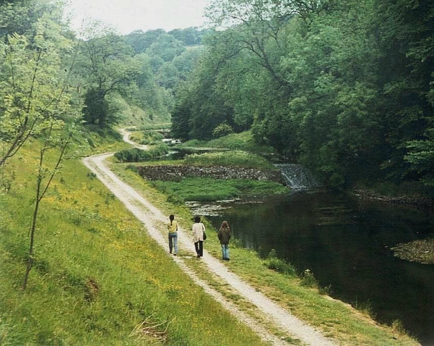 View of a footpath through Bradford Dale, Derbyshire, England