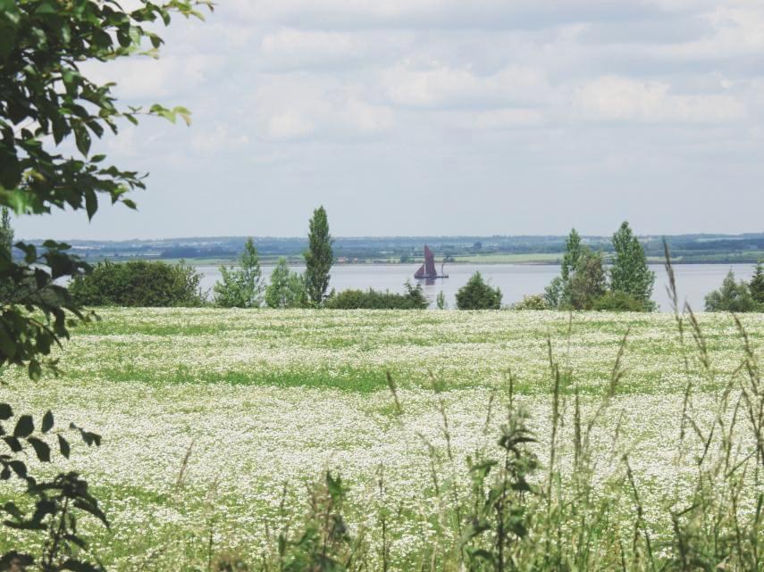Photograph of the River Blackwater near its estuary, Bradwell-on-Sea, England