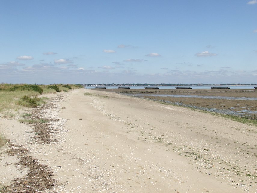 The Beach, St. Peter's Chapel, Bradwell-on-Sea, Essex, England, Great Britain