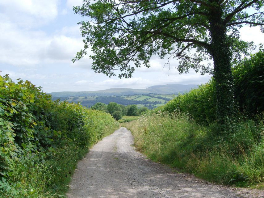 The path to Pen-y-Crug, Brecon, Brecknockshire, Wales.