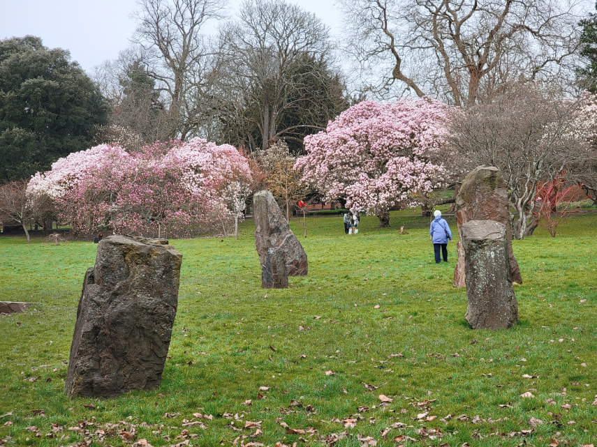 Bute Park, Cardiff, Glamorgan, Wales, Great Britain.