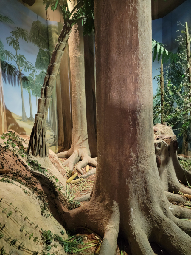 National Museum, Cardiff, Glamorgan, Wales