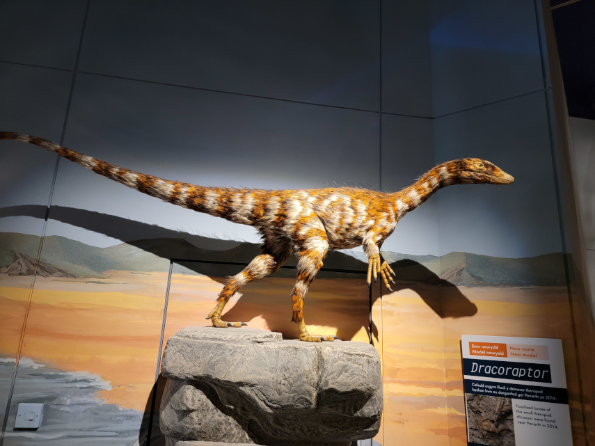 How a Dinosaur may have looked, National Museum, Cardiff, Glamorgan, Wales