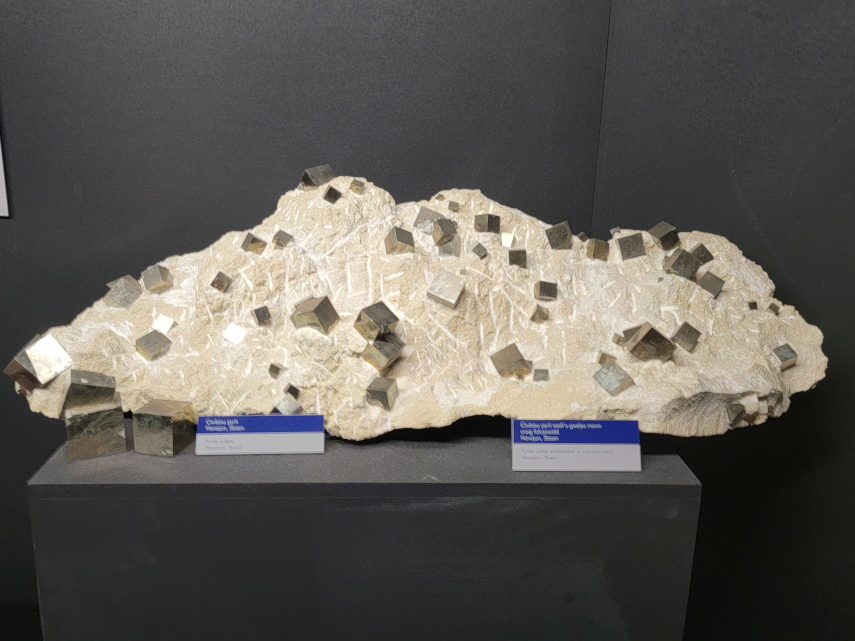Cubic Iron Pyrites Crystals, National Museum, Cardiff, Glamorgan, Wales