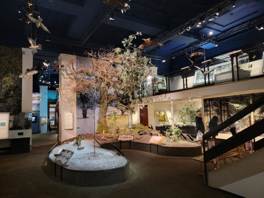 The Present Day Exhibit, National Museum, Cardiff, Glamorgan, Wales