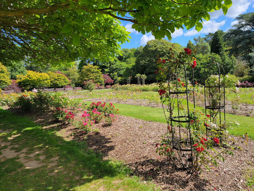 Flower Gardens, Roath Park, Cardiff, Wales, Great Britain.
