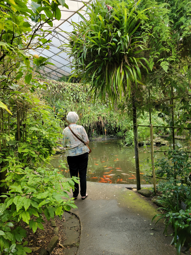 The Conservatory, Roath Park, Cardiff