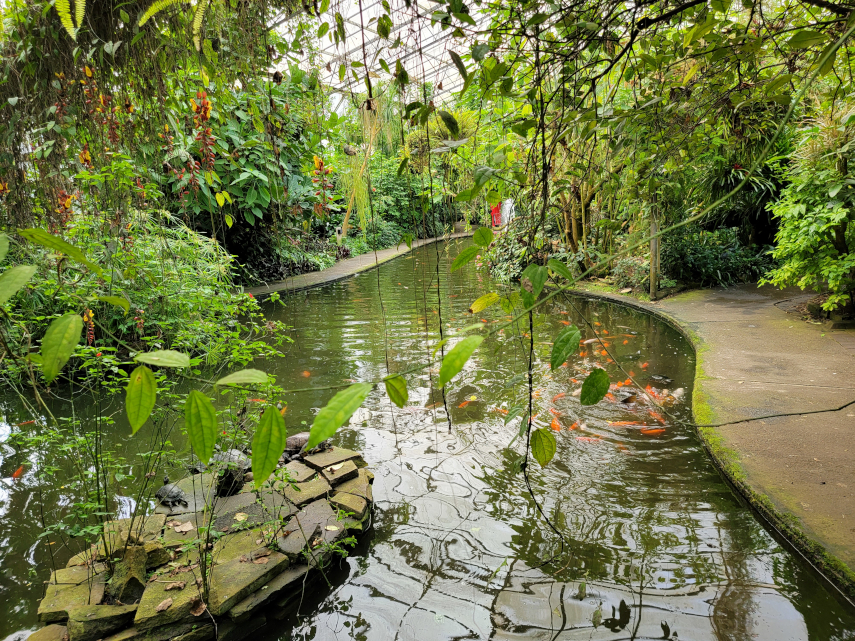 The Conservatory, Roath Park, Cardiff