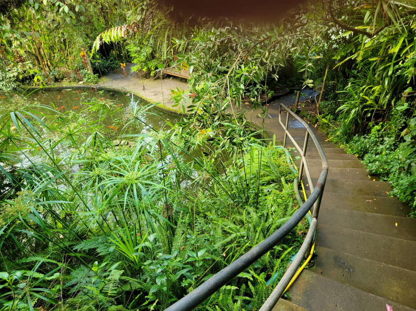 The Conservatory, Roath Park, Cardiff