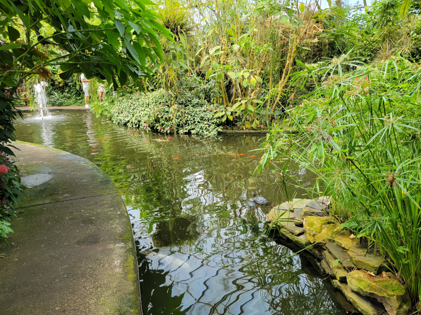 The Conservatory, Roath Park, Cardiff