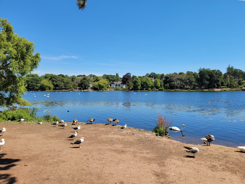The Lake, Roath Park, Cardiff