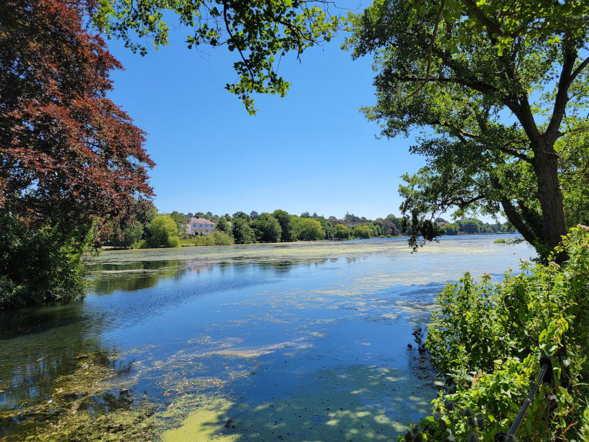 The Lake, Roath Park, Cardiff