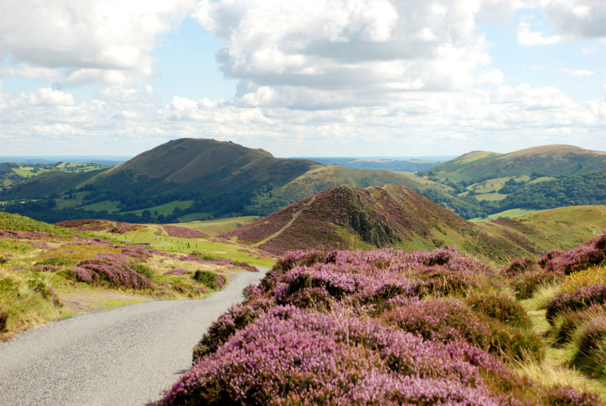 At the top of Carding Mill Valley, Church Stretton, Shropshire, England, Great Britain