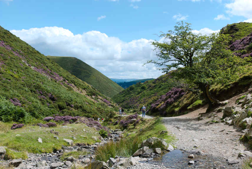 Where Carding Mill Valley divides, Church Stretton, Shropshire, England, Great Britain