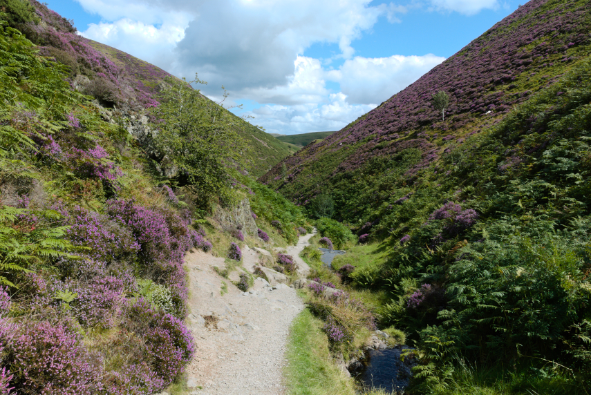 Scene showing Carding Mill Valley, Church Stretton, Shropshire, England - Countryside