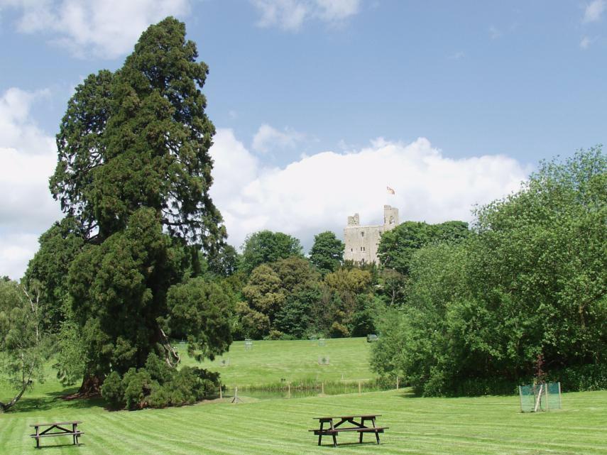 The view from the Picnic Area, Hedingham Castle, Castle Hedingham, Essex, England, Great Britain