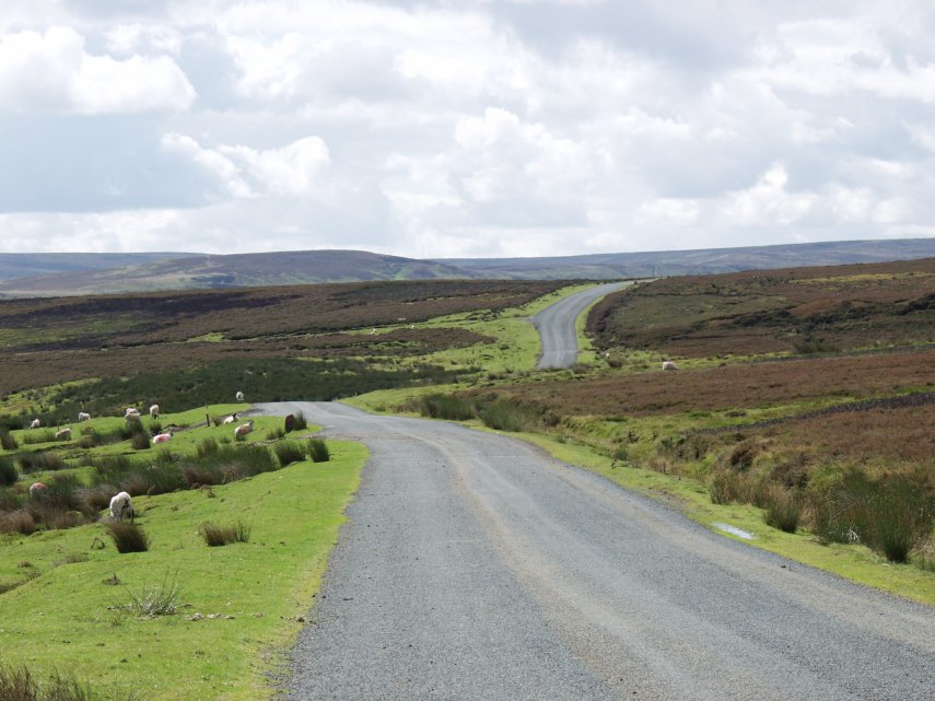 Kildale Moor, Yorkshire, England, Great Britain