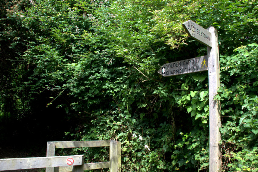 The Path to Golden Cap, Chideock, Dorset, England, Great Britain