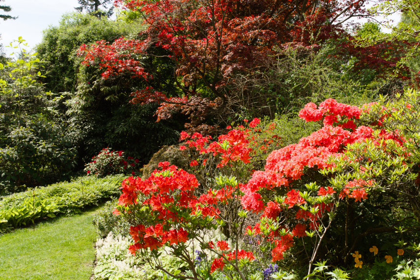Chirk Castle Gardens, Chirk, Denbighshire, Wales, Great Britain