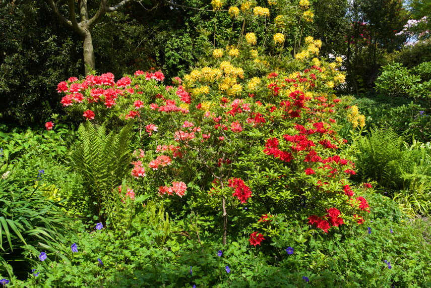 Chirk Castle Gardens, Chirk, Denbighshire, Wales, Great Britain