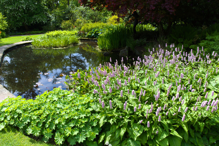 Chirk Castle Gardens, Chirk, Denbighshire, Wales, Great Britain