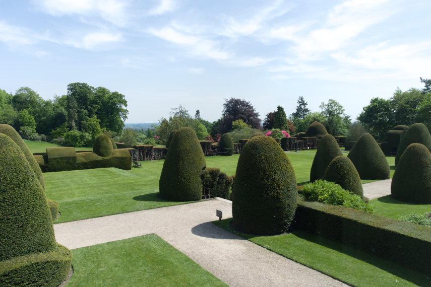 Topiary, Chirk Castle, Denbighshire