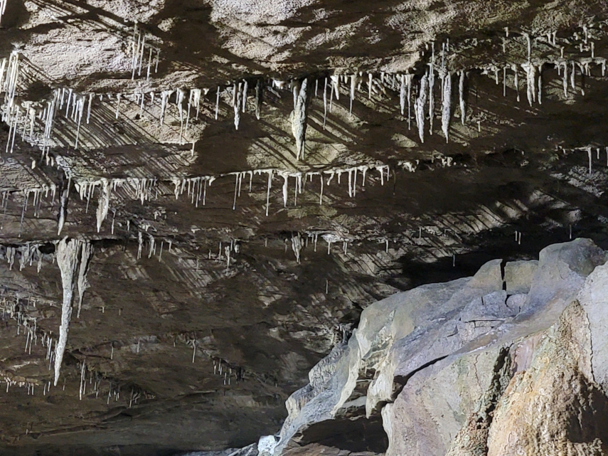 Stalactites on the roof, main stream passage, Ingleborough Cave, Clapham, Yorkshire, England, Great Britain