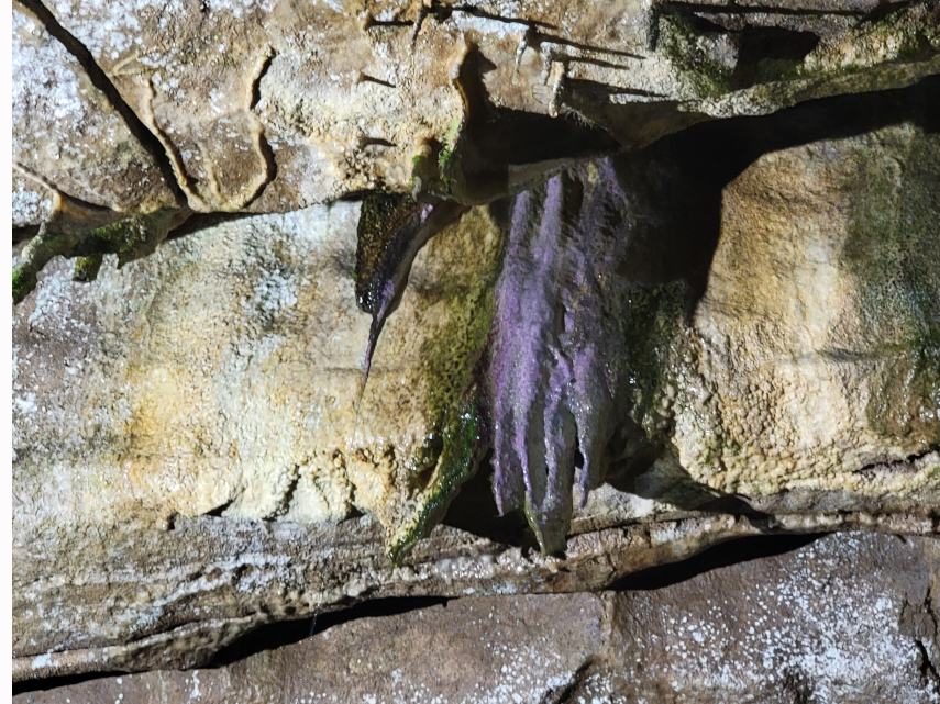 The 'Witch's Fingers', Main Stream Passage, Ingleborough Cave, Clapham, Yorkshire, England, Great Britain
