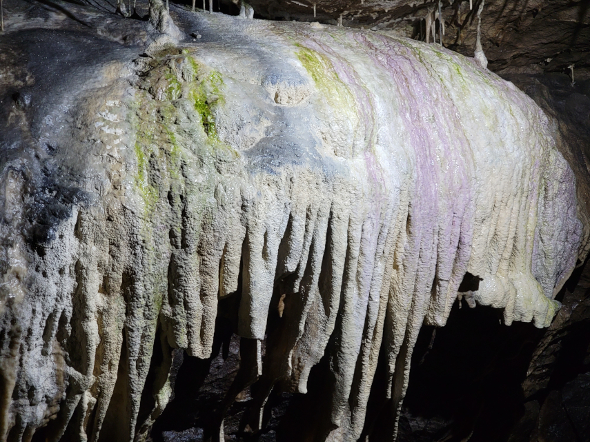 Coloured calcite formations, Main Stream Passage, Ingleborough Cave, Clapham, Yorkshire, England, Great Britain