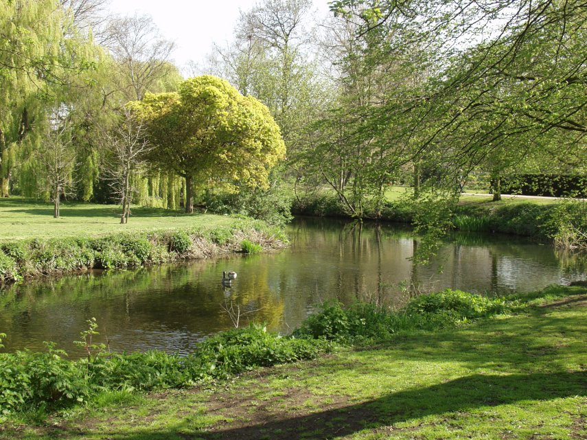 Scene showing the River Colne, Lower Castle Park, Colchester, Essex, England