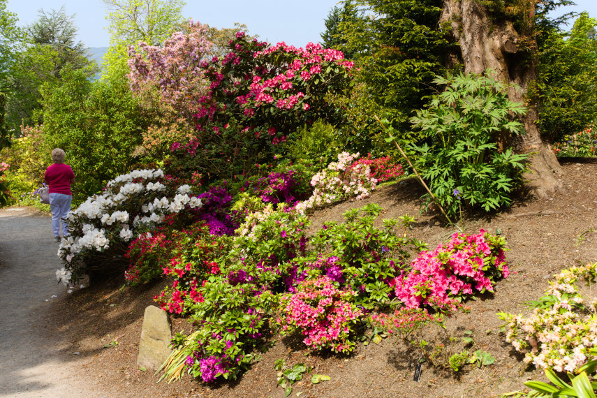 The Entrance area, Bodnant Gardens, Denbighshire, Wales, Great Britain