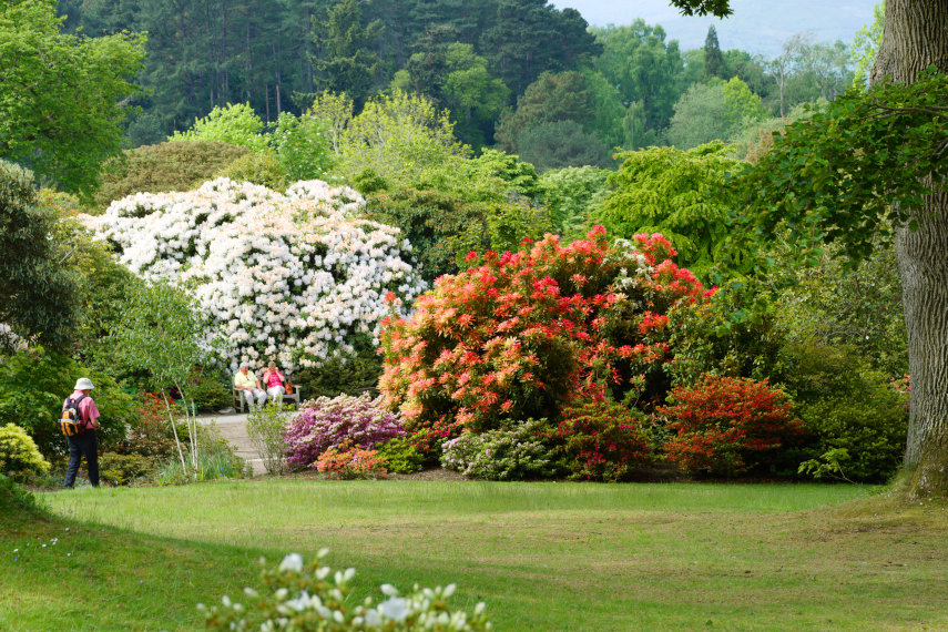 The Entrance area, Bodnant Gardens, Denbighshire, Wales, Great Britain