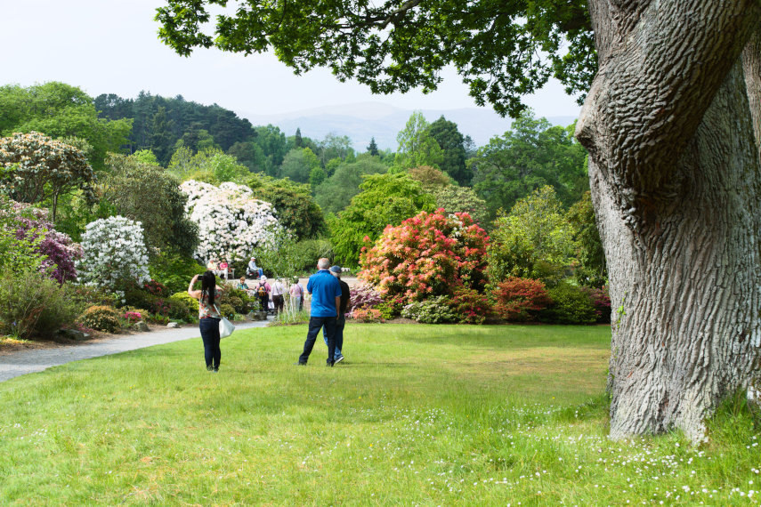 The Entrance area, Bodnant Gardens, Denbighshire, Wales, Great Britain