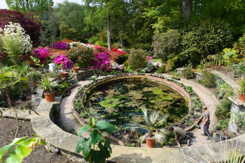 The House area, Bodnant Gardens, Denbighshire, Wales, Great Britain
