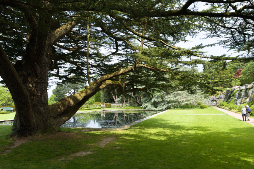 The House area, Bodnant Gardens, Denbighshire, Wales, Great Britain