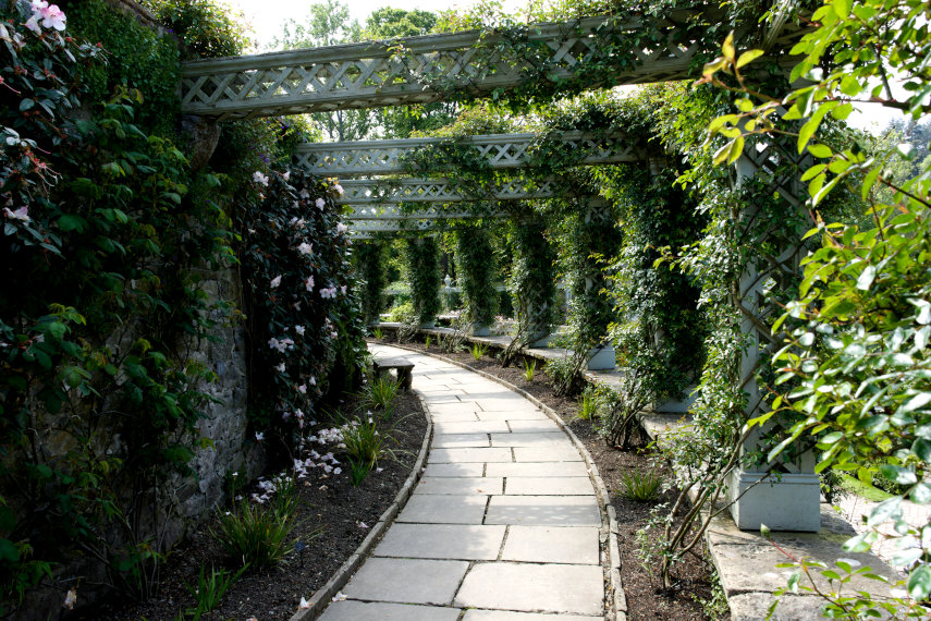 The Lily Pond, Bodnant Gardens, Denbighshire, Wales, Great Britain