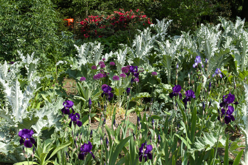 The Lily Pond, Bodnant Gardens, Denbighshire, Wales, Great Britain