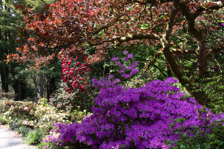 The Old Mill, Bodnant Gardens, Denbighshire, Wales, Great Britain