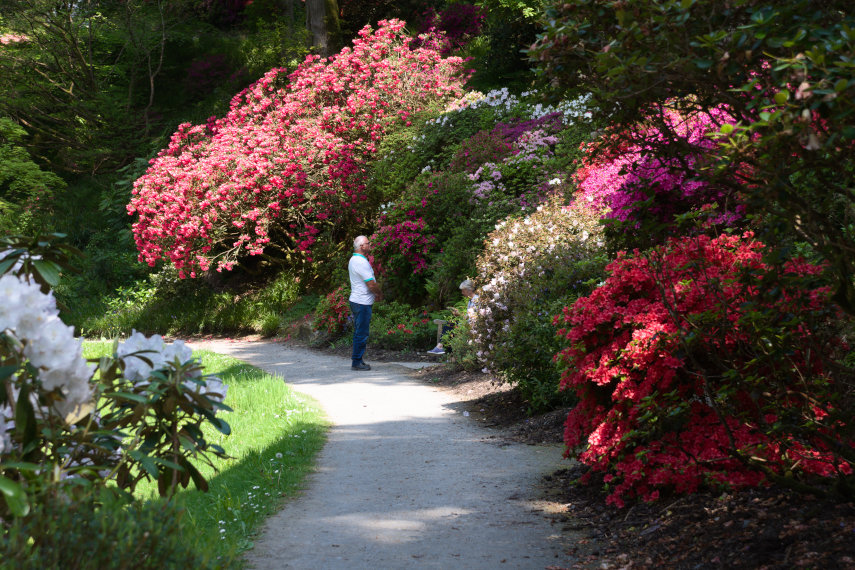 The Old Mill, Bodnant Gardens, Denbighshire, Wales, Great Britain
