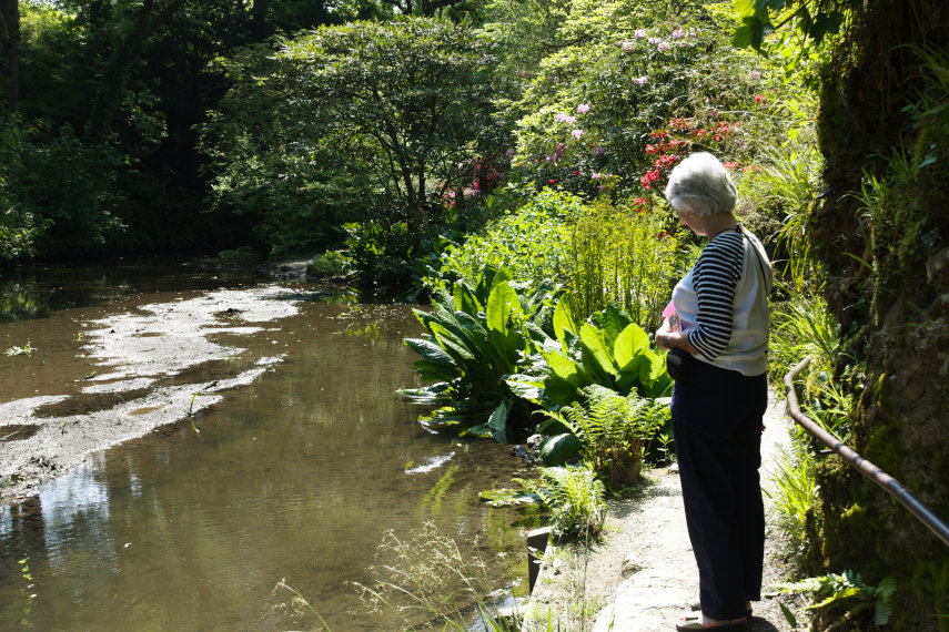 Far End, Bodnant Gardens, Denbighshire, Wales, Great Britain
