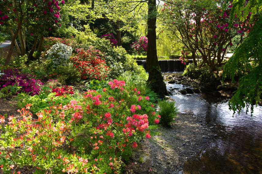 Far End, Bodnant Gardens, Denbighshire, Wales, Great Britain