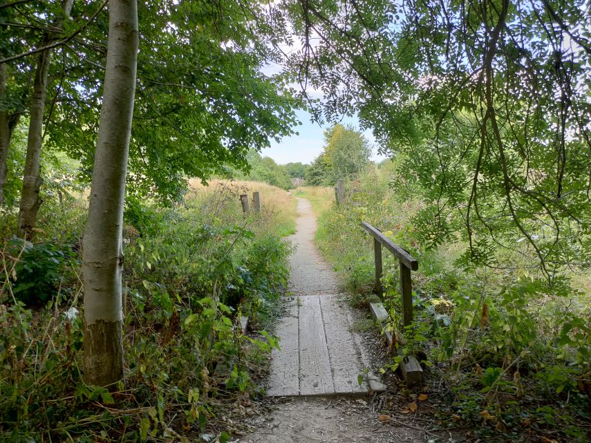 One of the surfaced paths, suitable for wheelchairs, in Onny Meadows, Craven Arms, Shropshire, Great Britain