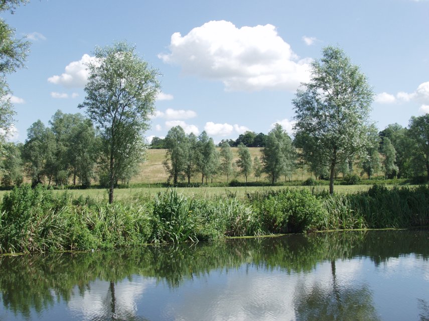 A View across the River Stour, Dedham, Essex, England, Great Britain