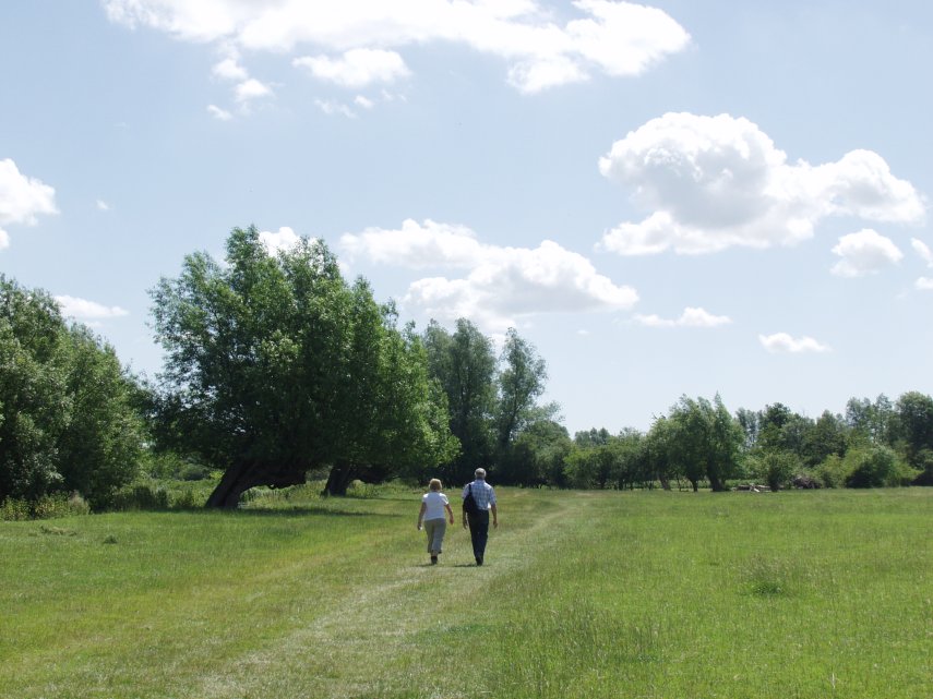 The Path to Flatford, Dedham, Essex, England, Great Britain