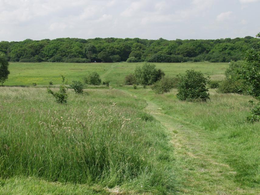 The View over Chingford Plain (1), Epping Forest, Essex, England, Great Britain