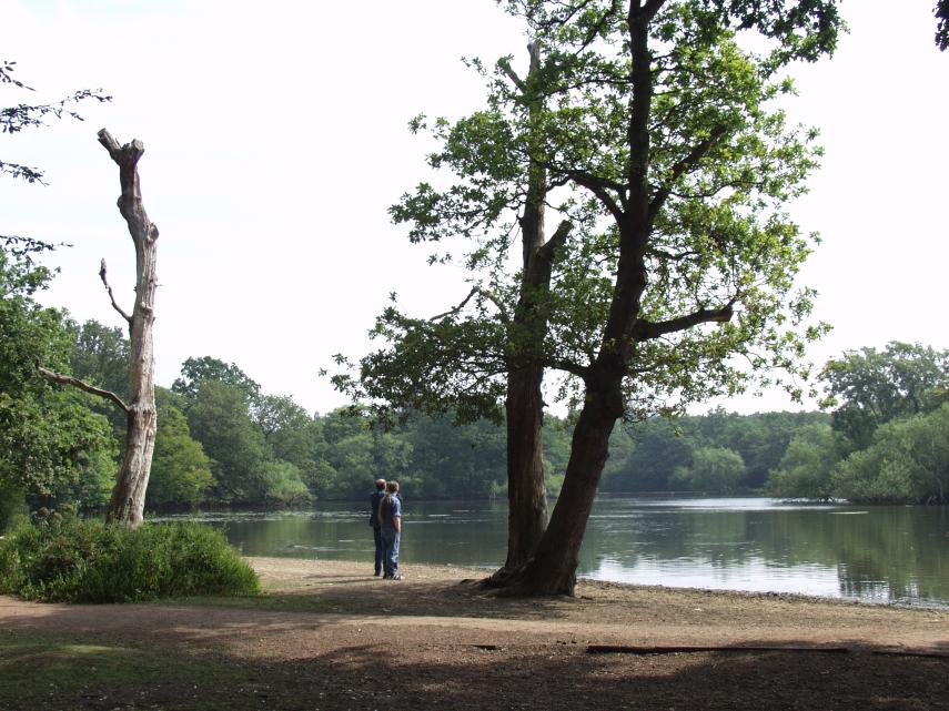 Connaught Water (2), Epping Forest, Essex, England, Great Britain