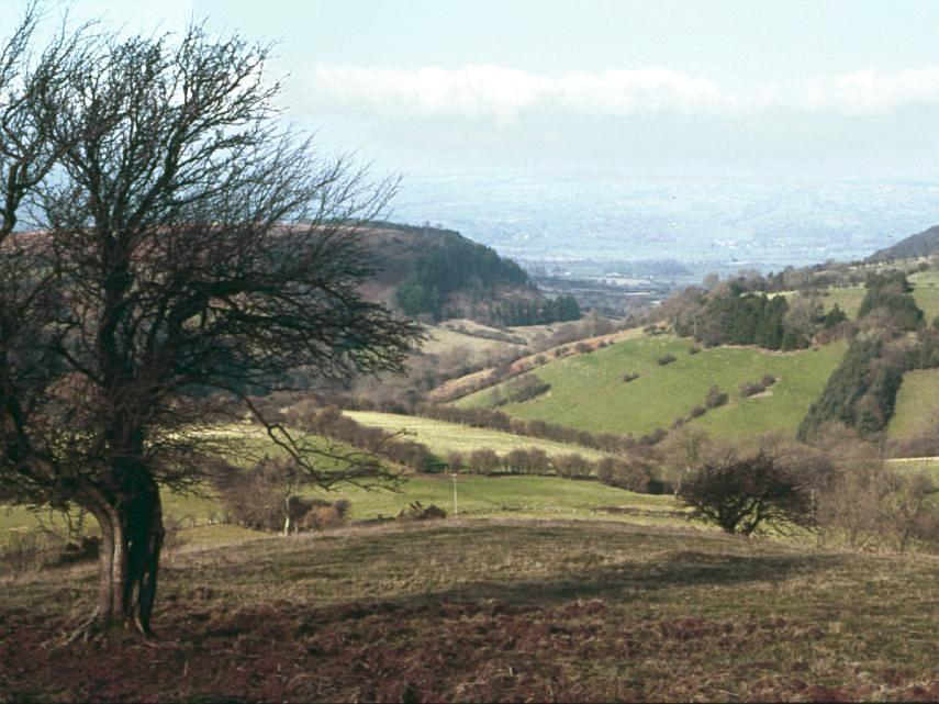 View of the Black Mountains, Brecknockshire, Wales - Countryside