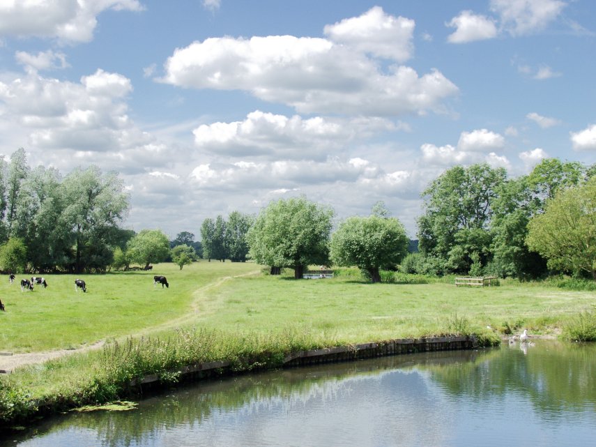 The View from Flatford Bridge, Flatford, Suffolk, England, Great Britain