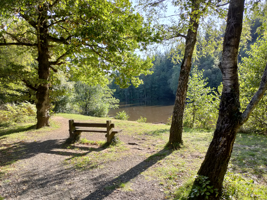 View of Speech House Lake, Forest of Dean, Gloucestershire, England