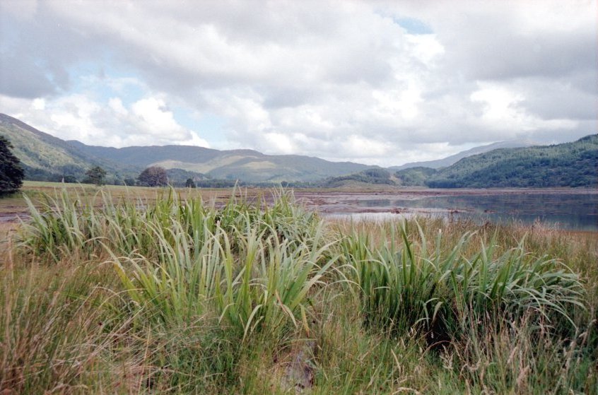 Picture of the sea loch in Glen Moidart near Ardmollich, Scottish Highlands, Great Britain